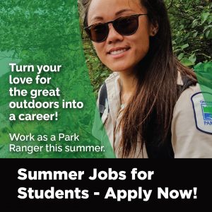 There is a photo of a female park ranger in a forest. Text says: Turn your love of the great outdoors into a career. Summer jobs available. Apply Now
