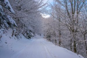 Image of icy road