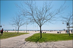 Cobourg Beach